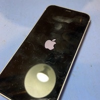 iPhoneが動かない！リンゴループから即日データ復旧する方法 | iPhone