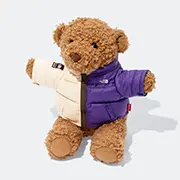 Supreme®/The North Face® Bear | Supreme 24ss