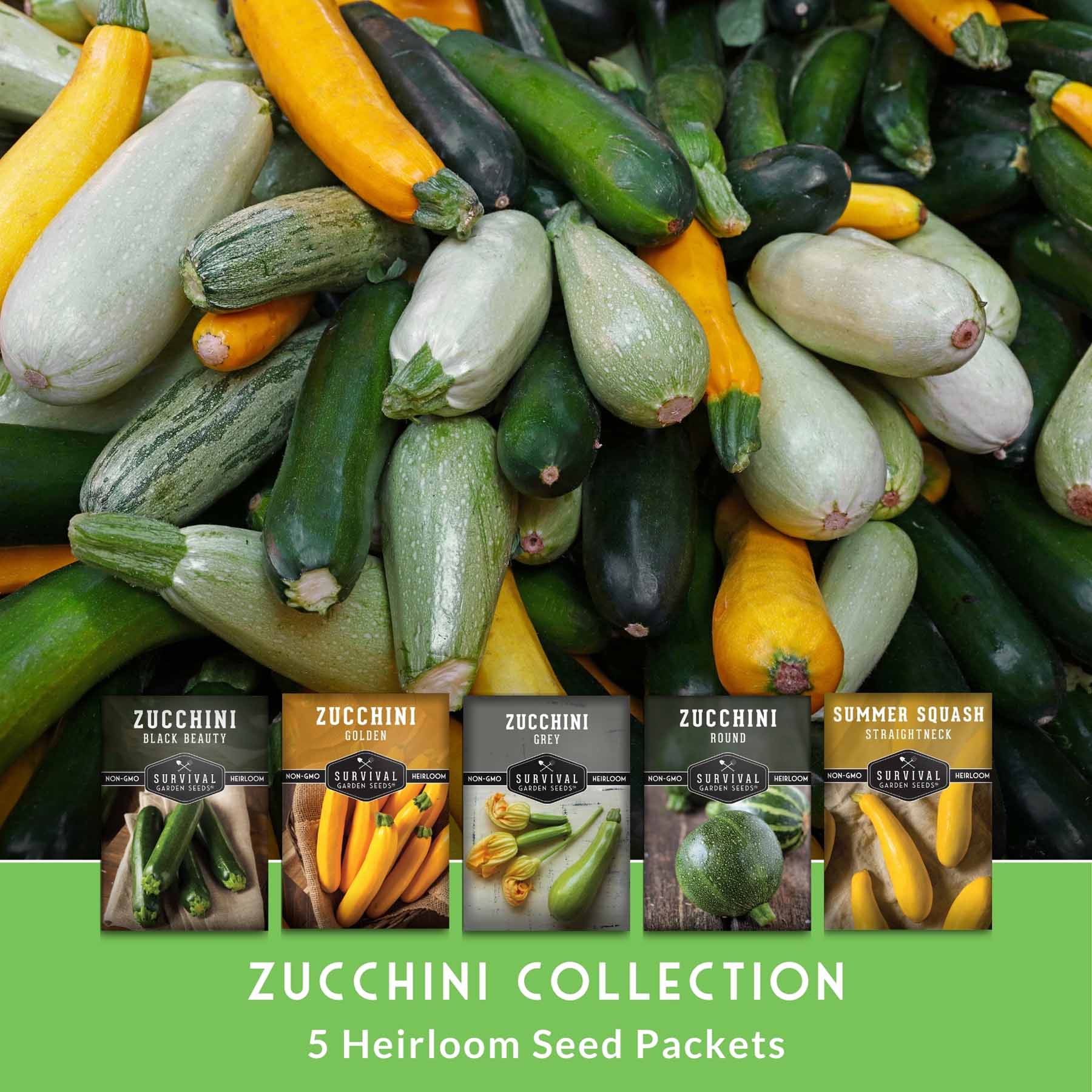 Zucchini & Summer Squash Collection – SurvivalGardenSeeds