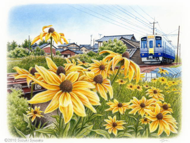 札幌の水彩色鉛筆画家 ○ イラストレーター鈴木周作 ～Gallery