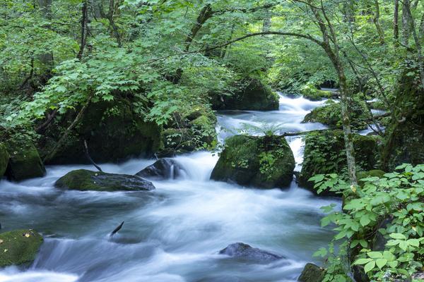 奥入瀬渓流の観光ガイド (青森県十和田市奥瀬)| NAVITIME Travel