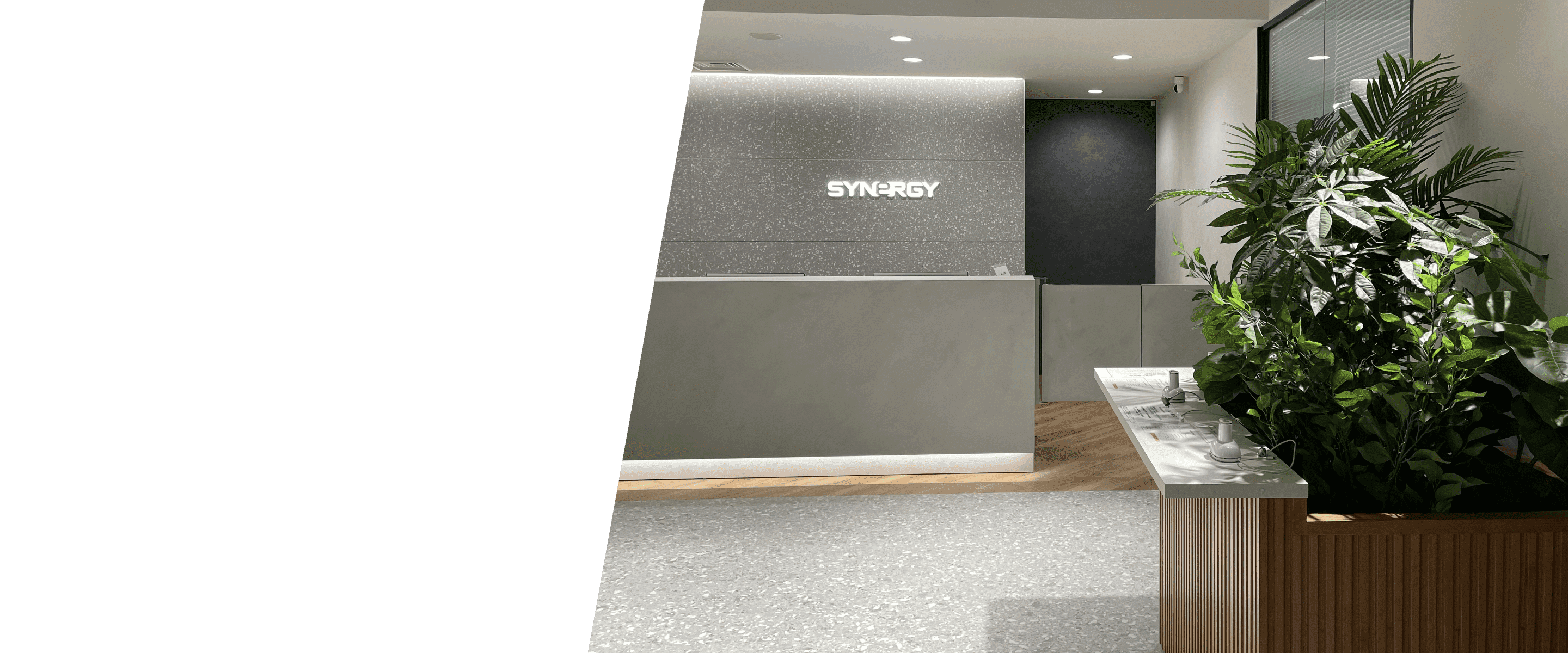 シナジーワールドワイド・ジャパン合同会社 | ハーブの力で心も体も