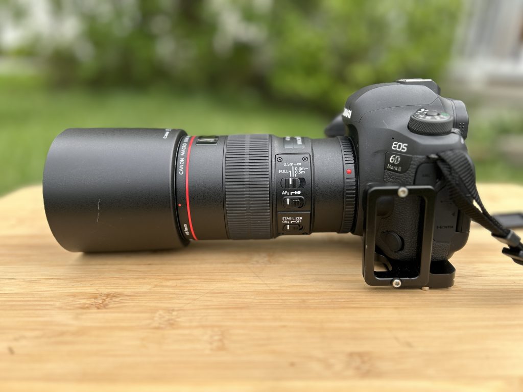 作例付きレビュー『EF 100mm F2.8L マクロ IS USM』接写だけじゃない