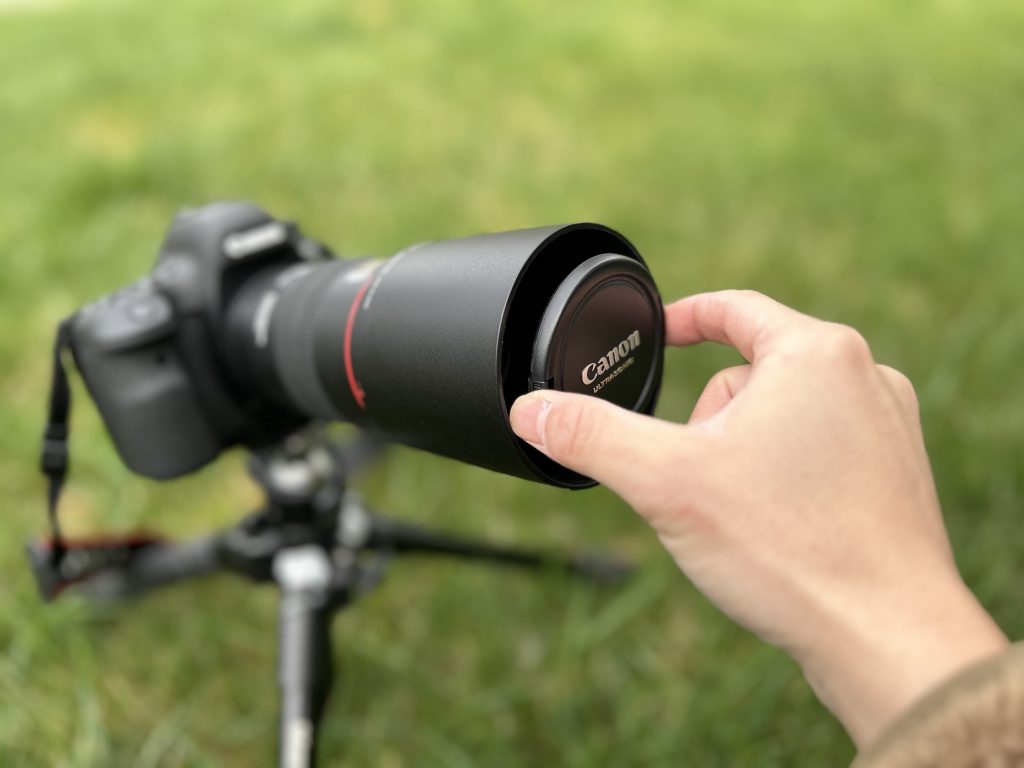 作例付きレビュー『EF 100mm F2.8L マクロ IS USM』接写だけじゃない