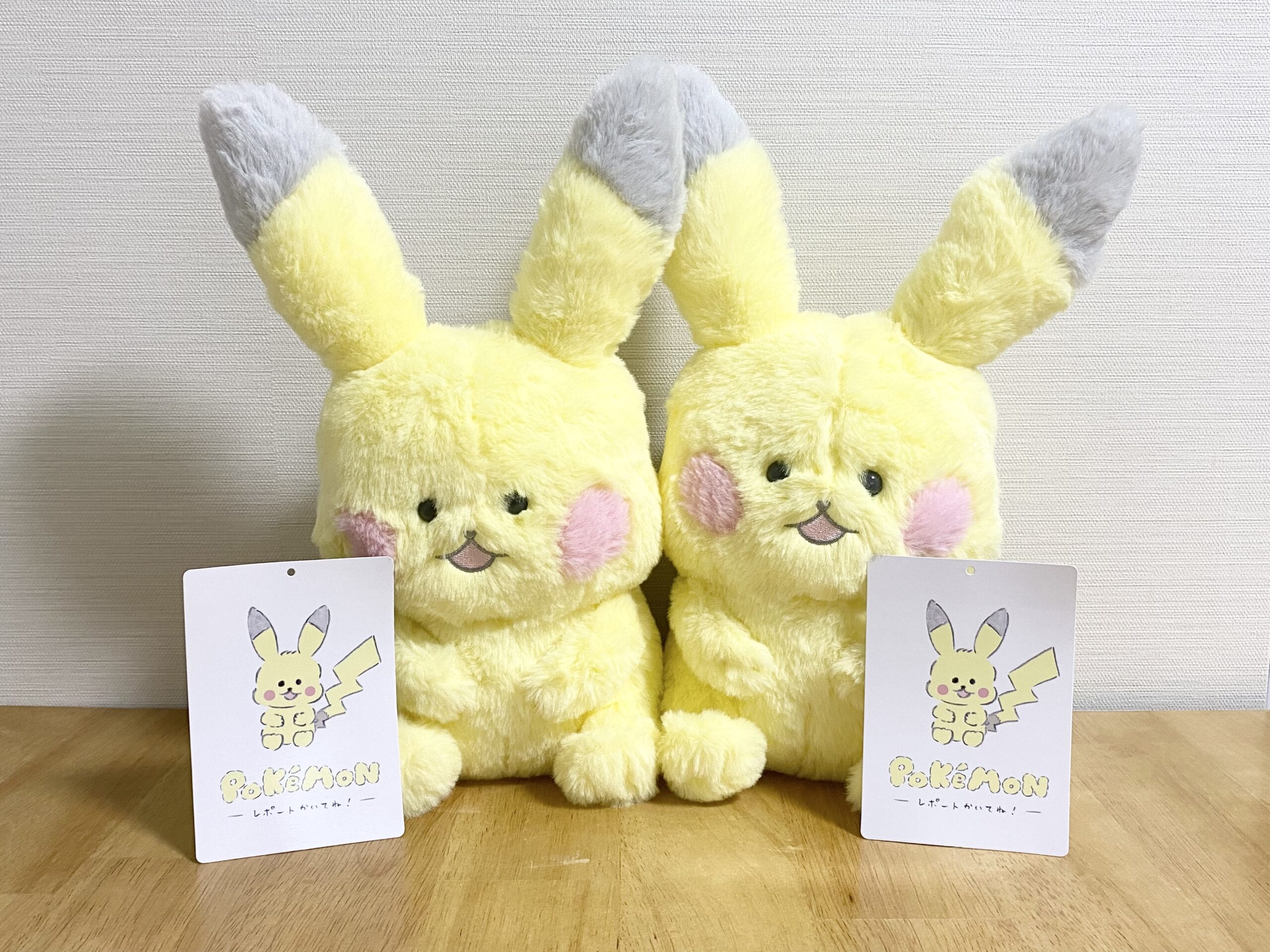 えちがわのりゆきさん×ポケモンコラボ！レポートかいてね！ | しゅみる